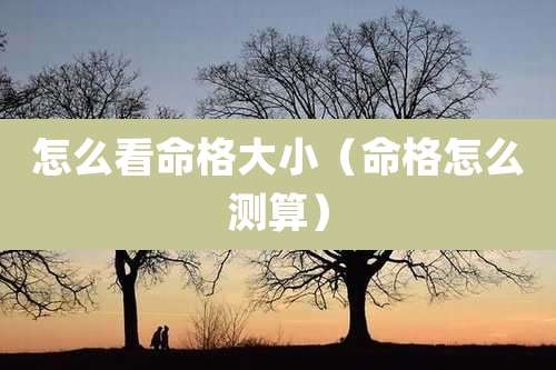 怎么看命格大小（命格怎么测算）