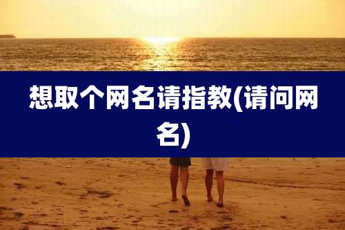 想取个网名请指教(请问网名)