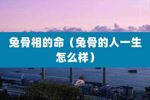 兔骨相的命(兔骨的人一生怎么样)