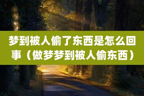 梦到被人偷了东西是怎么回事(做梦梦到被人偷东西)