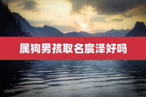 属狗男孩取名宸泽好吗