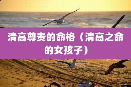 清高尊贵的命格(清高之命的女孩子)