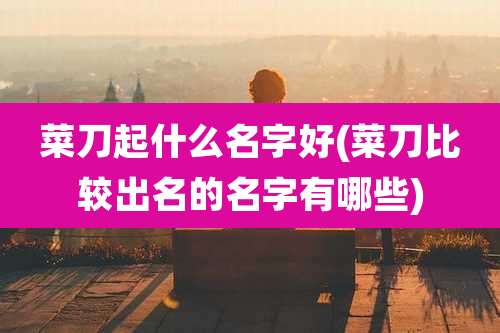 菜刀起什么名字好(菜刀比较出名的名字有哪些)