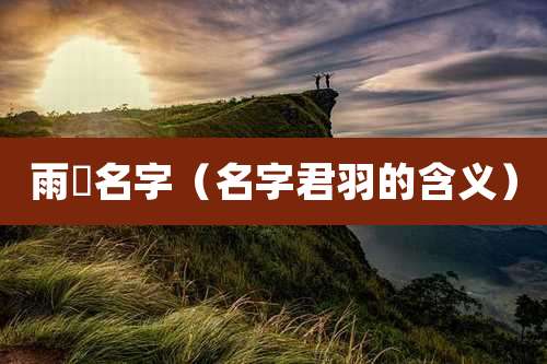 雨澔名字(名字君羽的含义)