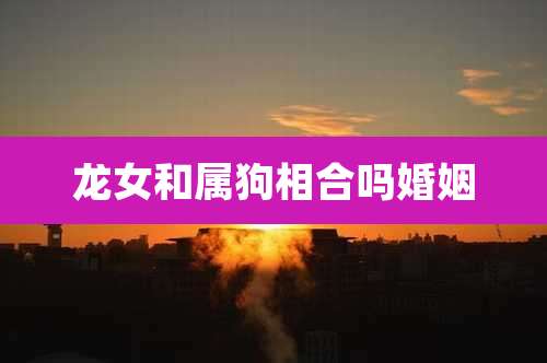 龙女和属狗相合吗婚姻