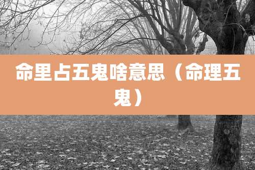 命里占五鬼啥意思(命理五鬼)