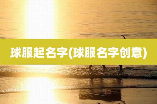 球服起名字(球服名字创意)