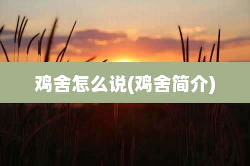 鸡舍怎么说(鸡舍简介)