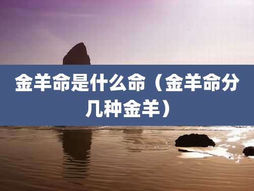 金羊命是什么命(金羊命分几种金羊)