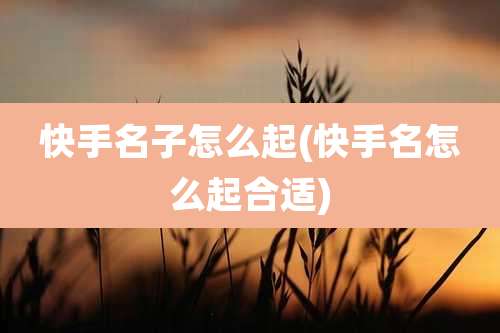 快手名子怎么起(快手名怎么起合适)