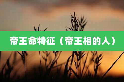 帝王命特征（帝王相的人）