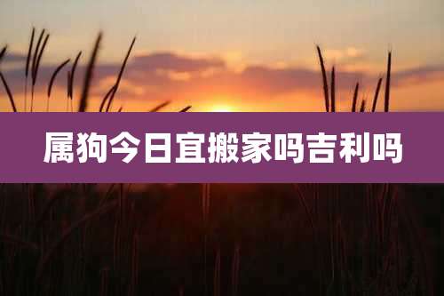 属狗今日宜搬家吗吉利吗