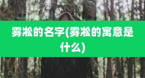 雾凇的名字(雾凇的寓意是什么)