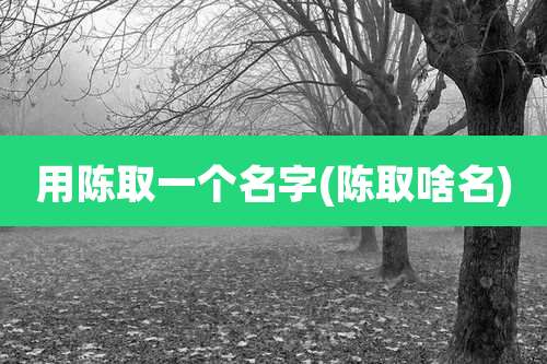 用陈取一个名字(陈取啥名)