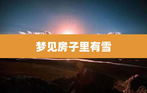 梦见房子里有雪
