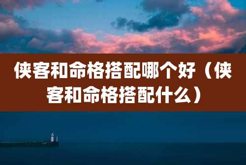 侠客和命格搭配哪个好（侠客和命格搭配什么）