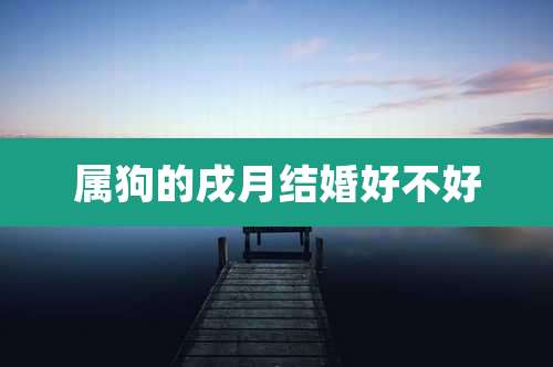 属狗的戌月结婚好不好