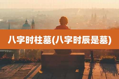 八字时柱墓(八字时辰是墓)