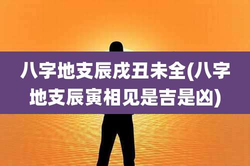 八字地支辰戌丑未全(八字地支辰寅相见是吉是凶)