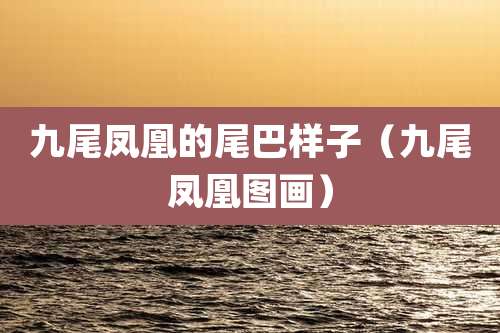 九尾凤凰的尾巴样子（九尾凤凰图画）