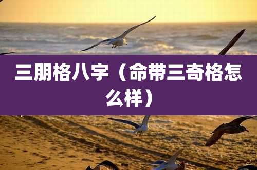 三朋格八字(命带三奇格怎么样)