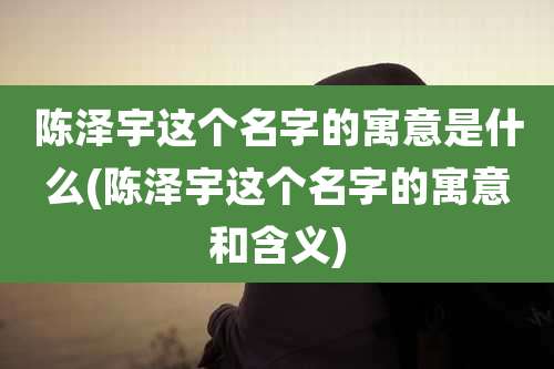 陈泽宇这个名字的寓意是什么(陈泽宇这个名字的寓意和含义)