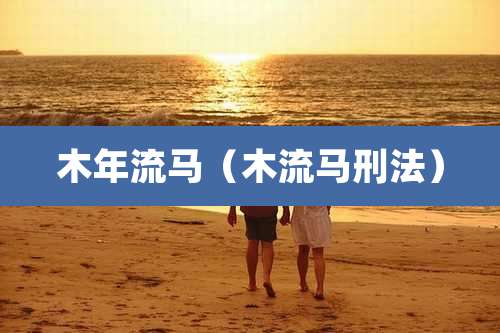 木年流马(木流马刑法)