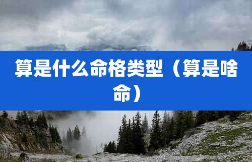 算是什么命格类型(算是啥命)