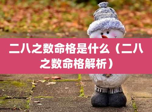 二八之数命格是什么(二八之数命格解析)