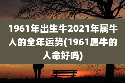 1961年出生牛2021年属牛人的全年运势(1961属牛的人命好吗)