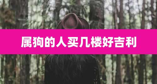 属狗的人买几楼好吉利