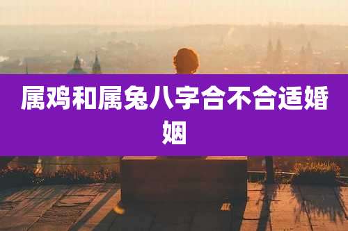 属鸡和属兔八字合不合适婚姻