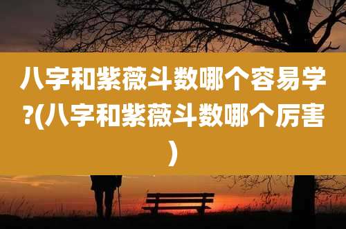 八字和紫薇斗数哪个容易学?(八字和紫薇斗数哪个厉害)