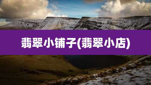 翡翠小铺子(翡翠小店)
