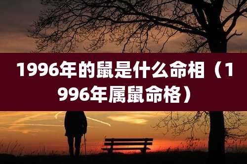 1996年的鼠是什么命相（1996年属鼠命格）