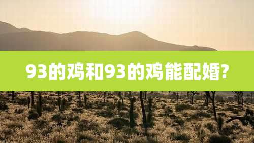 93的鸡和93的鸡能配婚?
