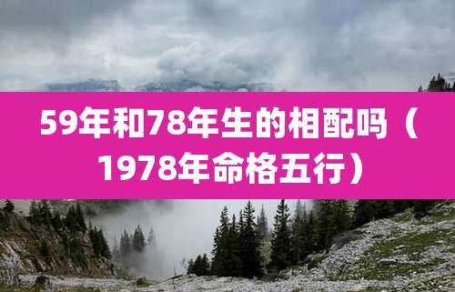59年和78年生的相配吗（1978年命格五行）