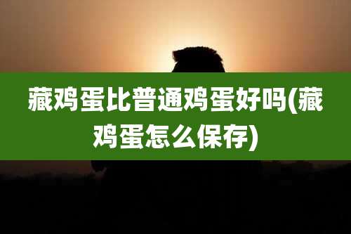 藏鸡蛋比普通鸡蛋好吗(藏鸡蛋怎么保存)