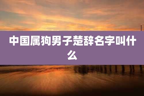 中国属狗男子楚辞名字叫什么