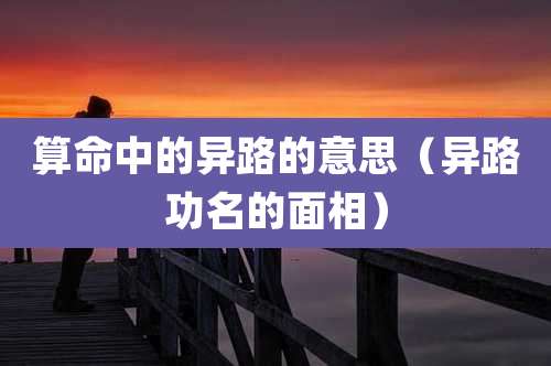 算命中的异路的意思（异路功名的面相）