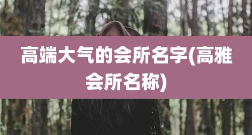 高端大气的会所名字(高雅会所名称)