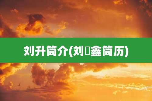 刘升简介(刘昇鑫简历)