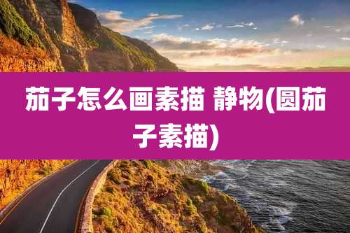 茄子怎么画素描 静物(圆茄子素描)