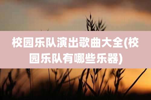 校园乐队演出歌曲大全(校园乐队有哪些乐器)