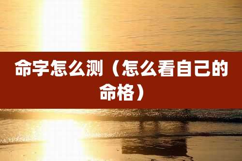 命字怎么测(怎么看自己的命格)