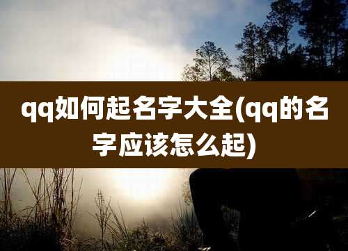 qq如何起名字大全(qq的名字应该怎么起)