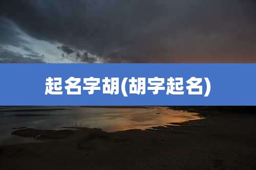 起名字胡(胡字起名)