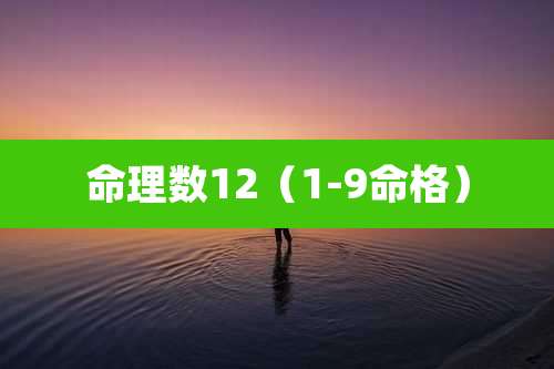 命理数12(1-9命格)