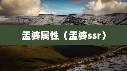 孟婆属性（孟婆ssr）