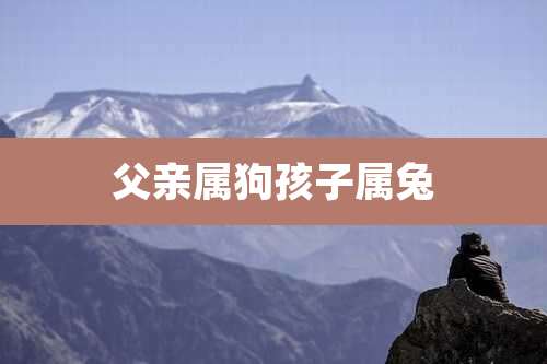 父亲属狗孩子属兔